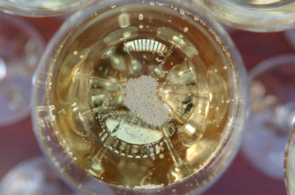 Photo en gros plan d'une coupe de champagne vue du dessus.