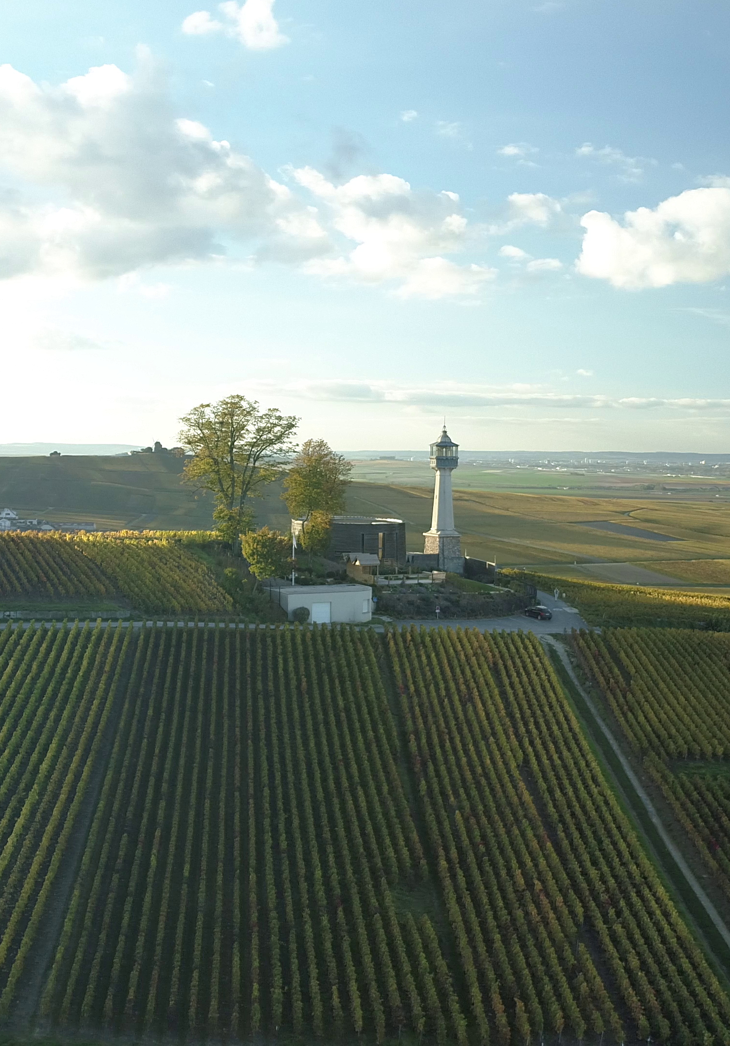 Photo pleine page paysage de vignes
